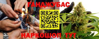 гидра Нальчик