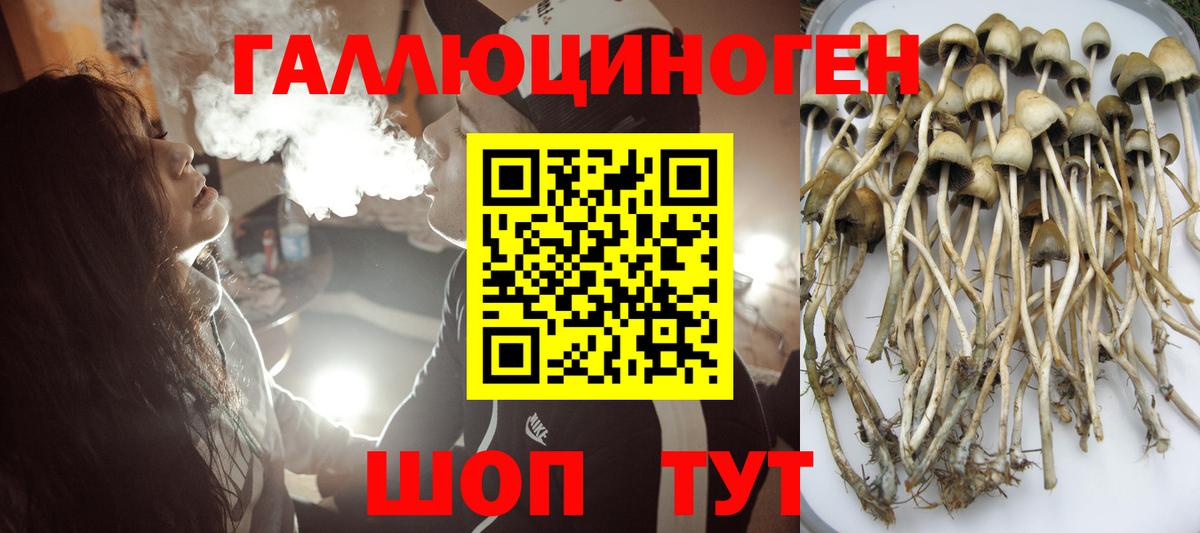Псилоцибиновые грибы ЛСД Арсеньев