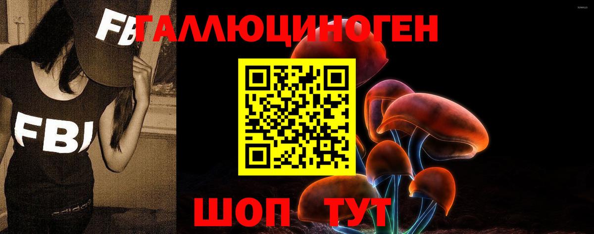 Галлюциногенные грибы Psilocybe  Вход с VPN  Галлюциногенные грибы Cubensis  где найти наркотики  Арсеньев 